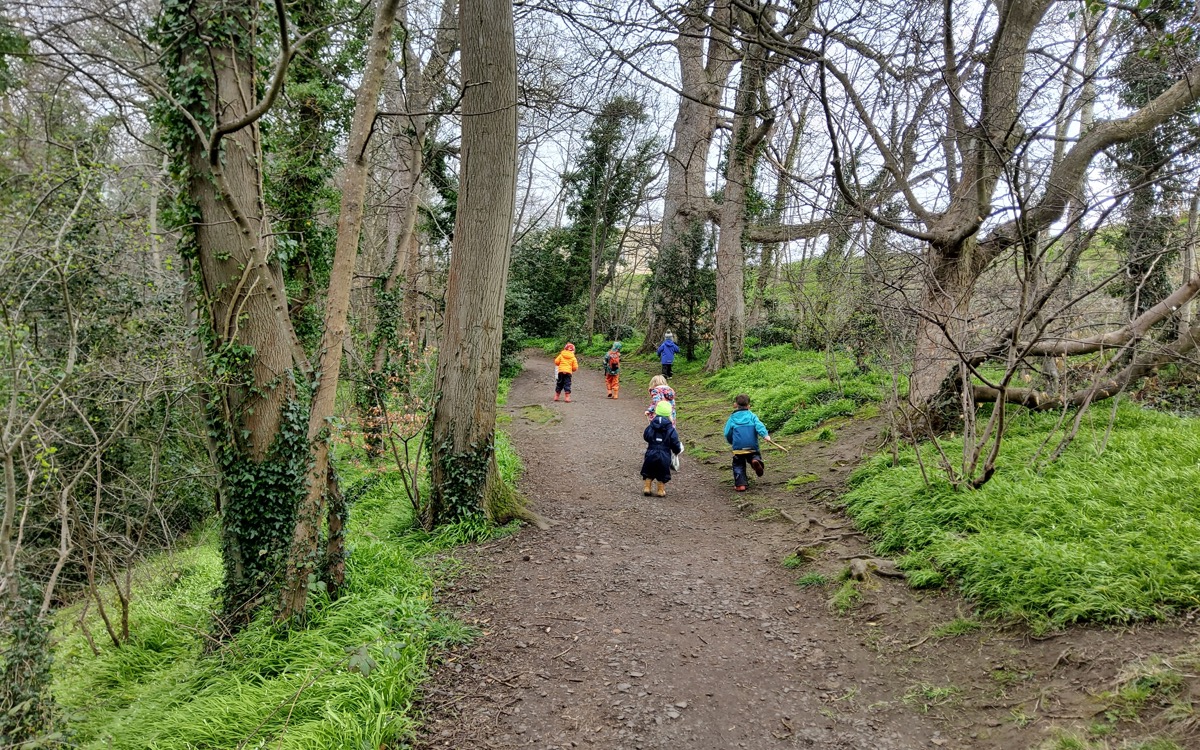 Nature exploration